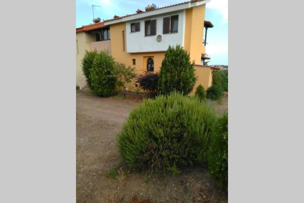 "Klio" Appartment نيكيتي المظهر الخارجي الصورة